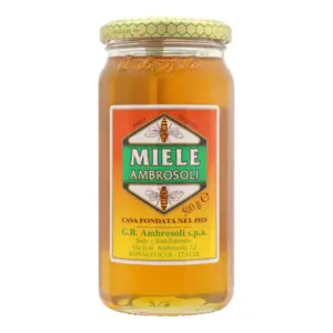 AMBROSOLI MIELE 500 G