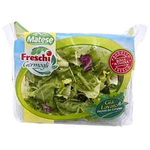 INSALATA PRIMAVERA VASCHETTA 165G