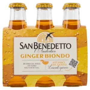 San Benedetto - Ben's l'Analcolico Ginger Biondo - 600ml (6 x 10 cl)