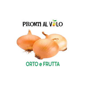 CIPOLLA DORATA 400G